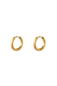 stainless steel hoop earrings