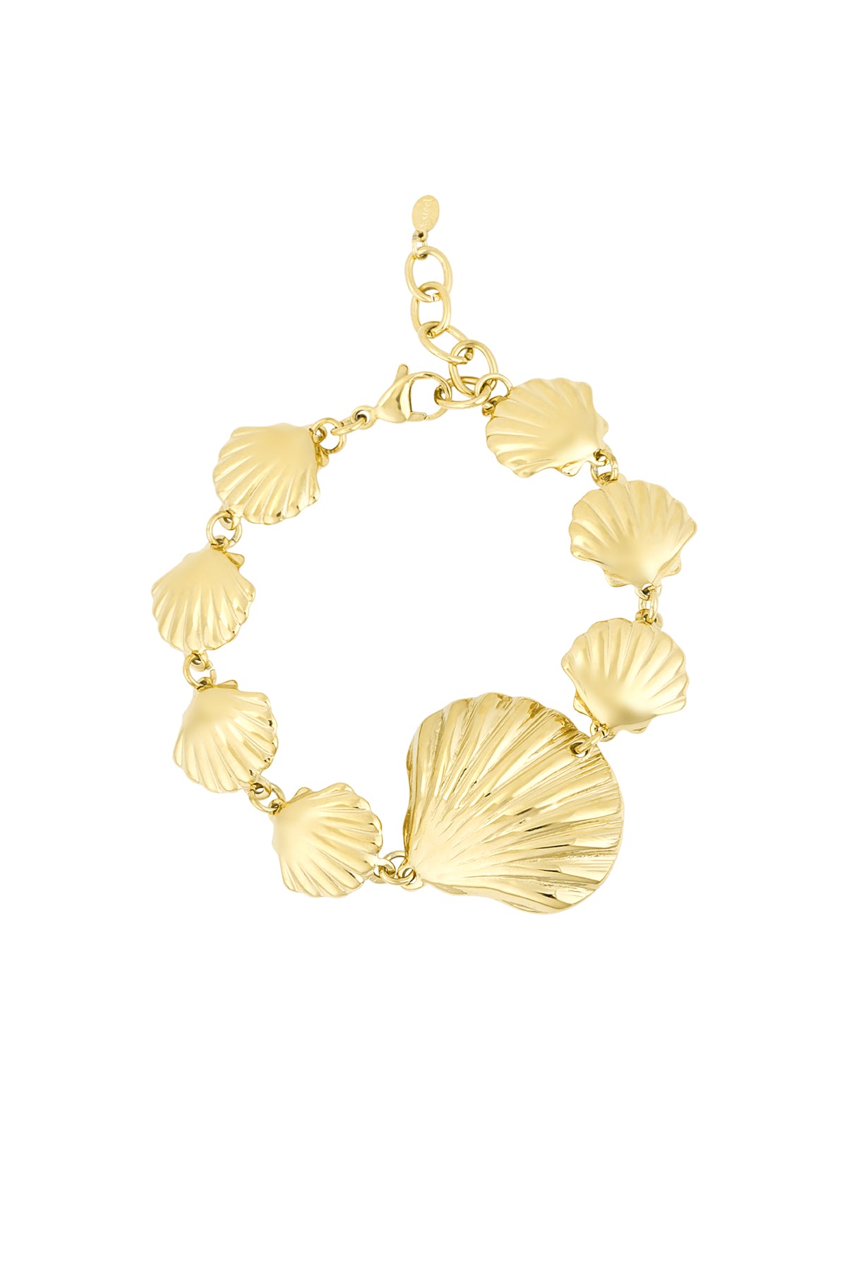 bracelet sea shell lover