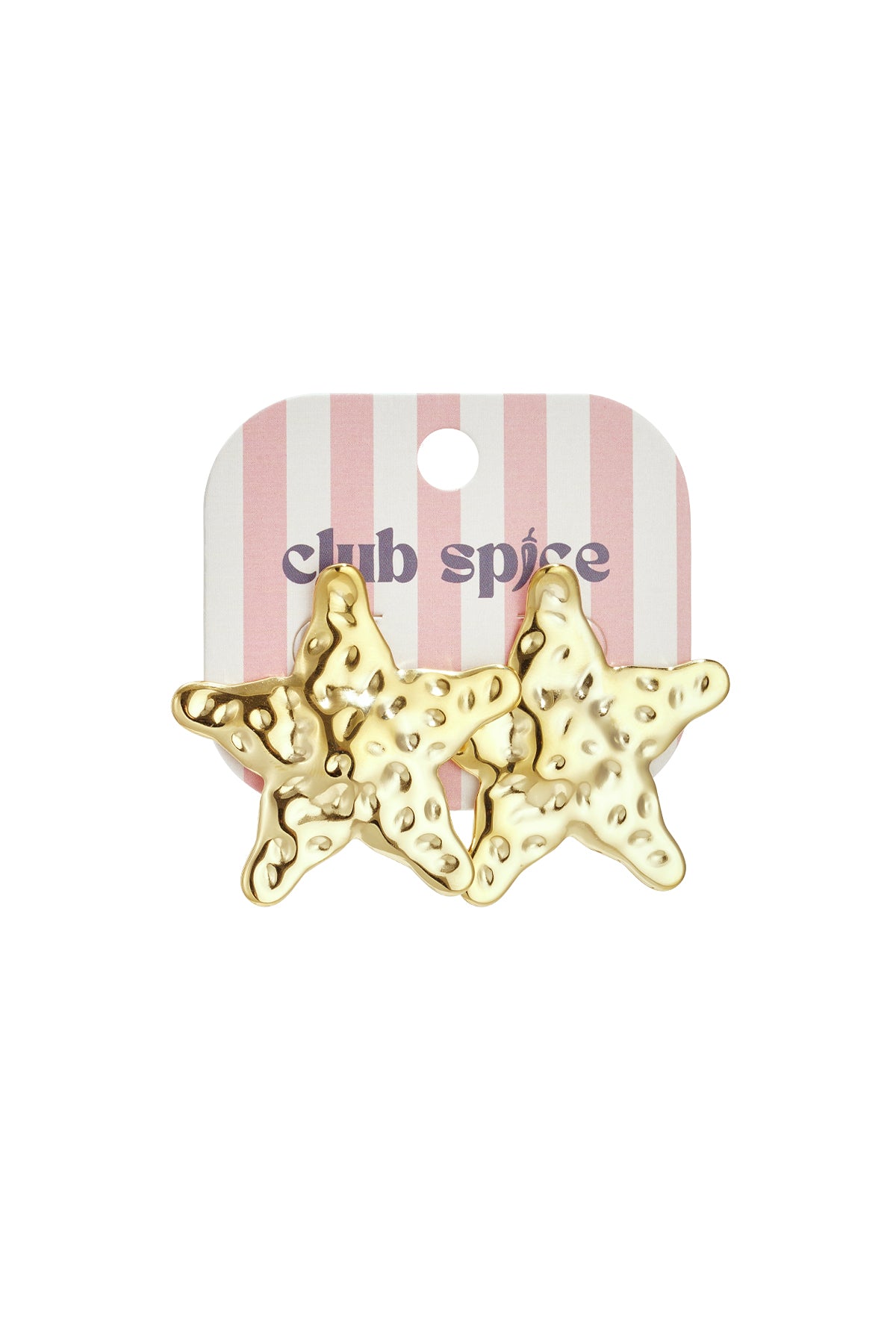 Stainless Steel Stud Earrings Star Casual Daily Simple Series Women's jewelry